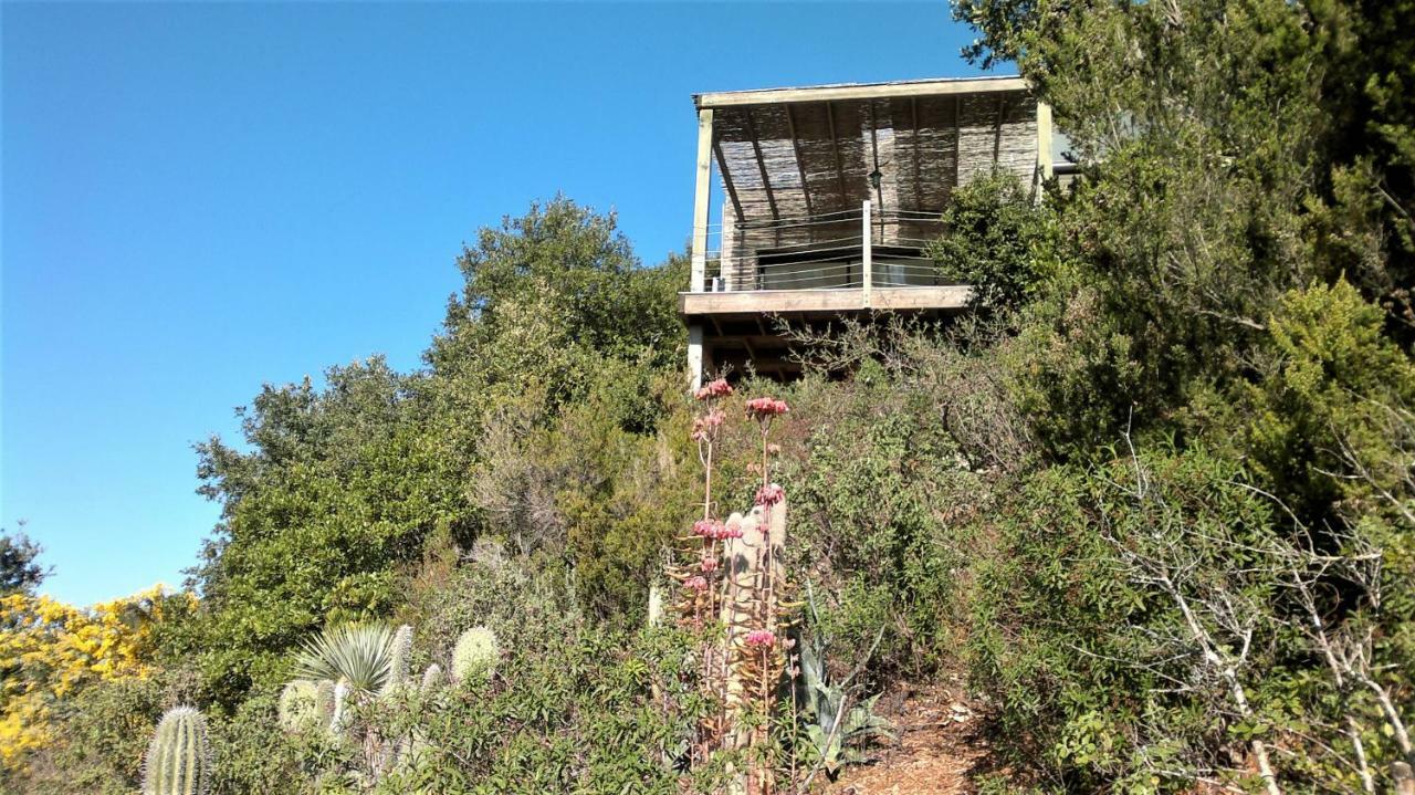 A Altezza Palombaggia Villa Порто-Векио Екстериор снимка